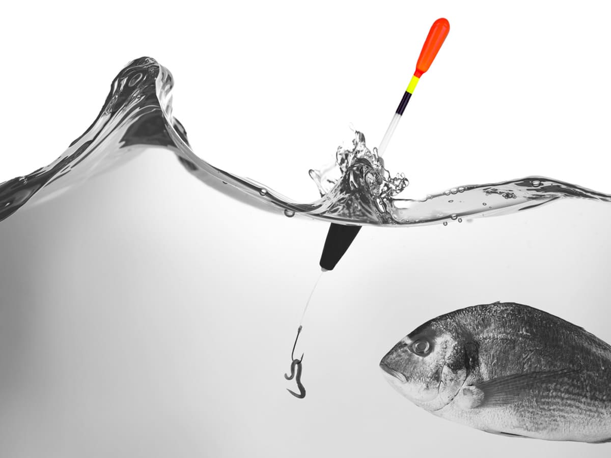 The fish eats the worm - presentation technique - managementberatung | coaching