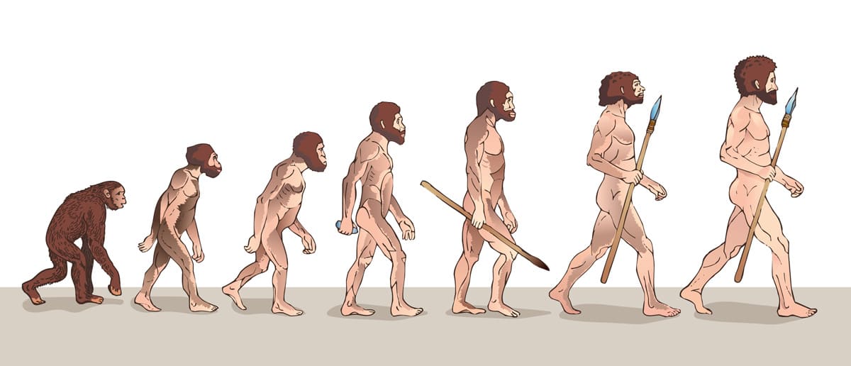 Führungskompetenzen: Evolutionsreihe Mensch vom Affen bis zum Homo sapiens - managementberatung | coaching